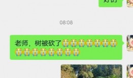 娱乐吃瓜君论文,揭秘娱乐圈幕后真相与八卦风云