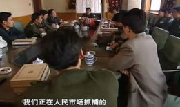 燕赵刑警全屏在线观看,全屏揭秘，刑侦风云再起