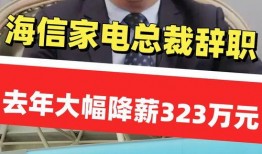 江苏老板爆料新闻视频大全,揭秘商界风云录